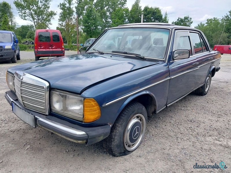 1976' Mercedes-Benz W123 photo #1