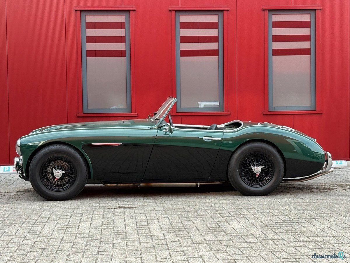 1958' Austin-Healey 100-6 photo #2