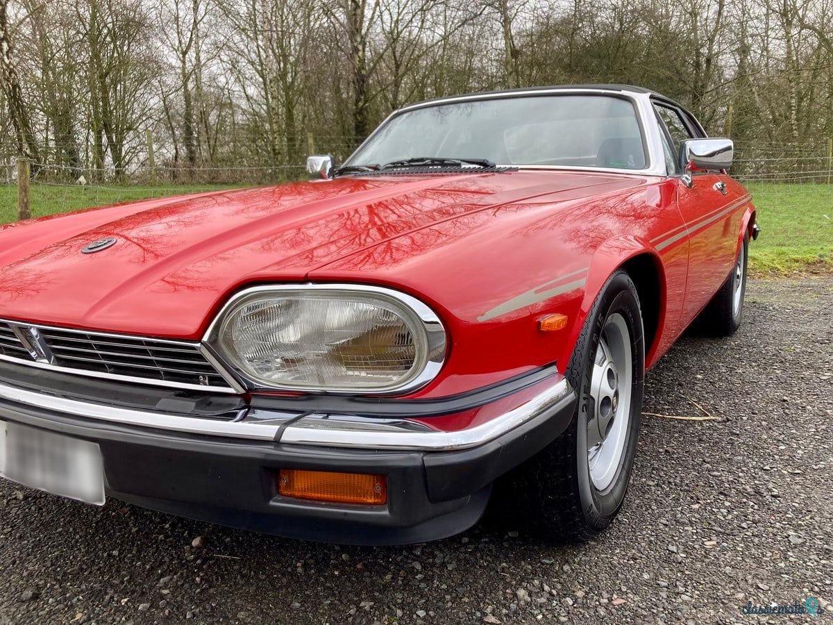 1986' Jaguar XJS photo #3