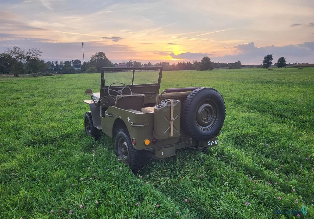 1943' Jeep Willys photo #3
