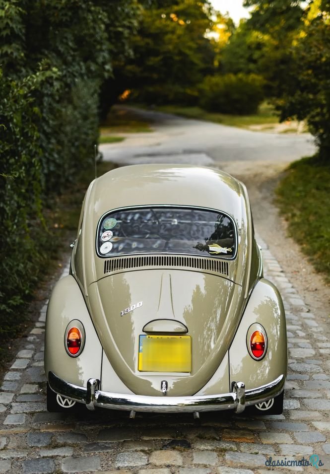 1966' Volkswagen Garbus photo #2