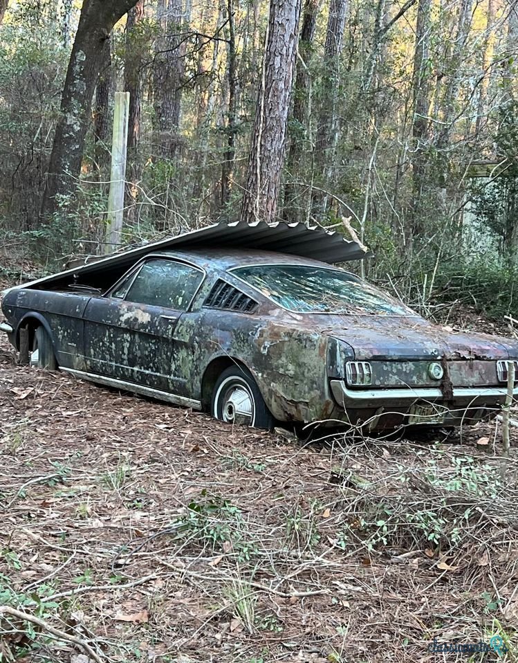 1965' Ford Mustang photo #2