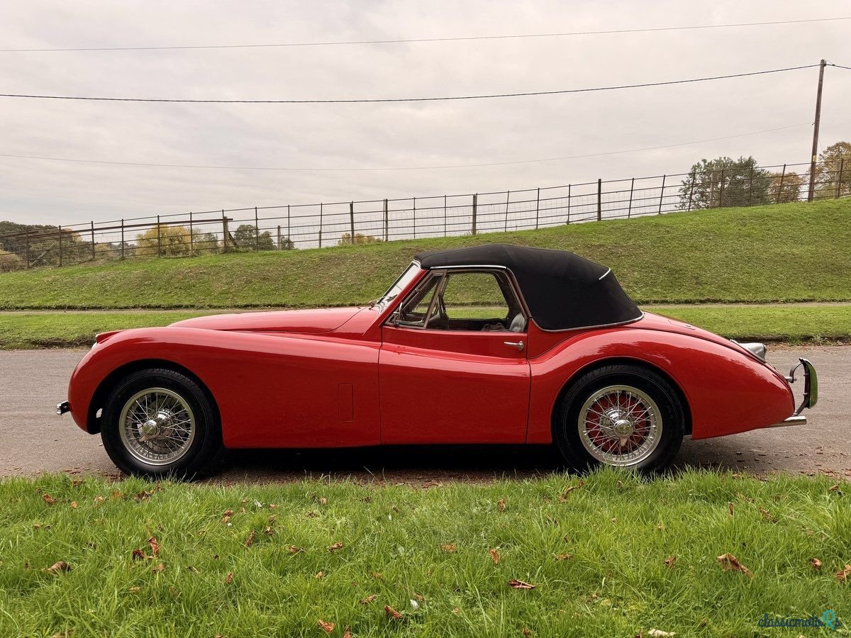 1954' Jaguar Xk120 photo #6