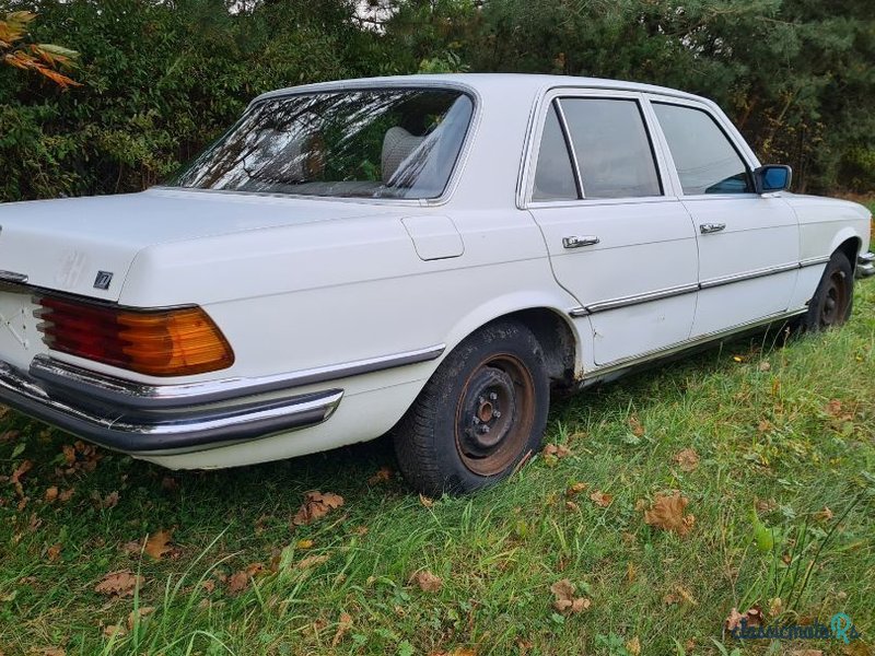 1979' Mercedes-Benz 280 photo #6