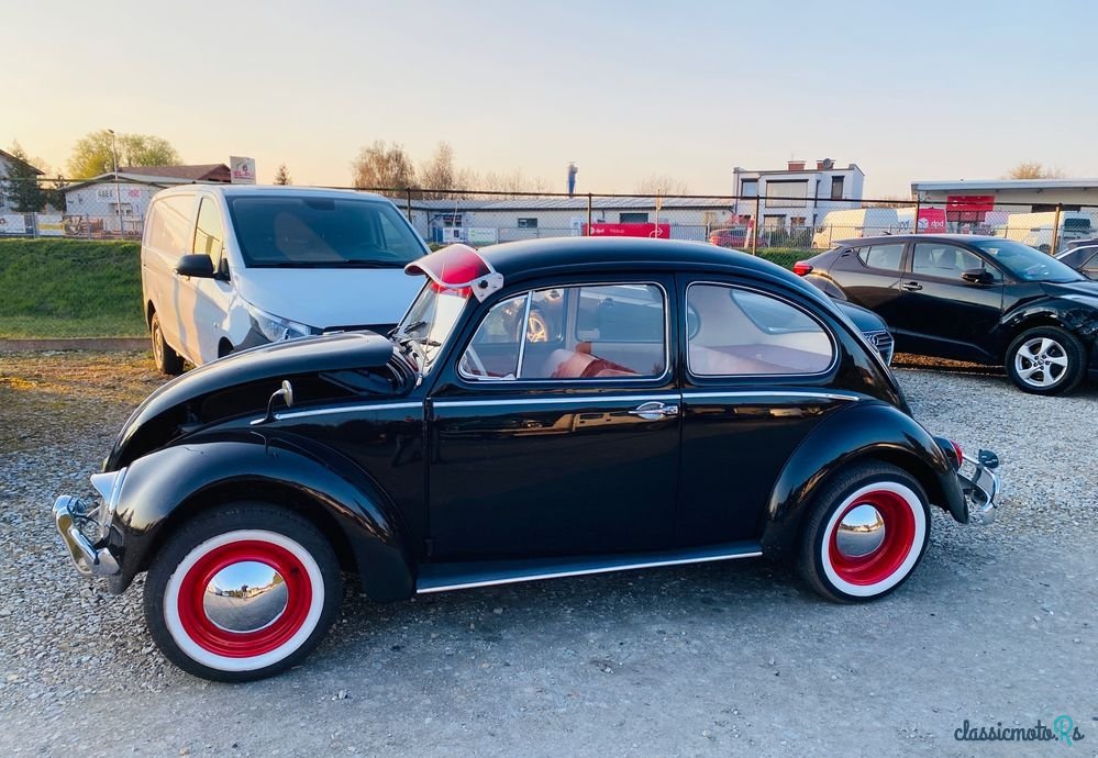 1966' Volkswagen Garbus photo #5