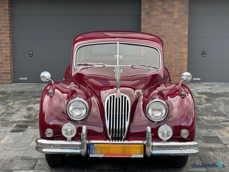 1955' Jaguar XK photo #2