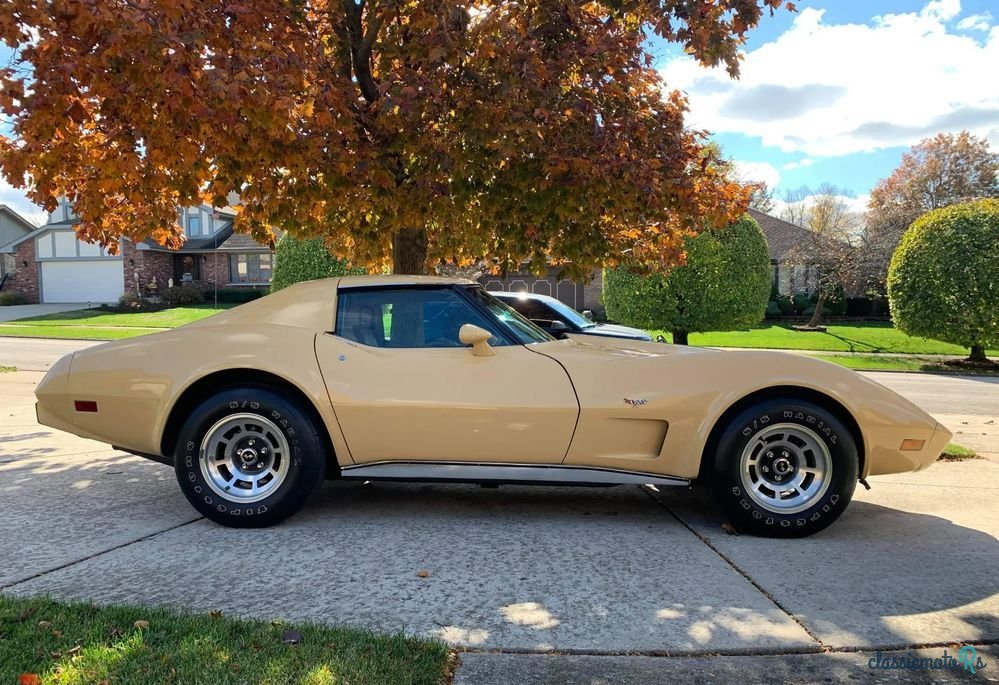 1977' Chevrolet Corvette photo #1