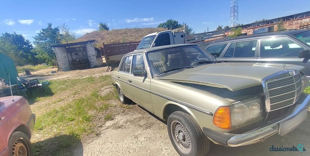 1979' Mercedes-Benz W123 photo #6