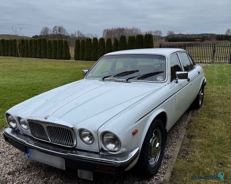 1980' Jaguar Daimler photo #1