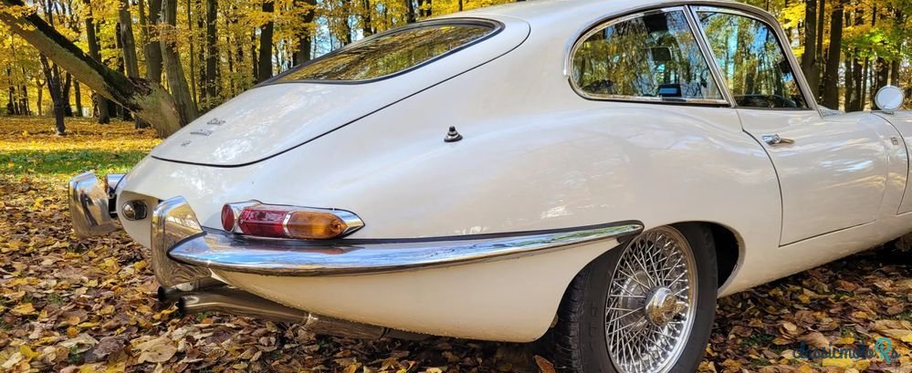 1965' Jaguar E-Type photo #6