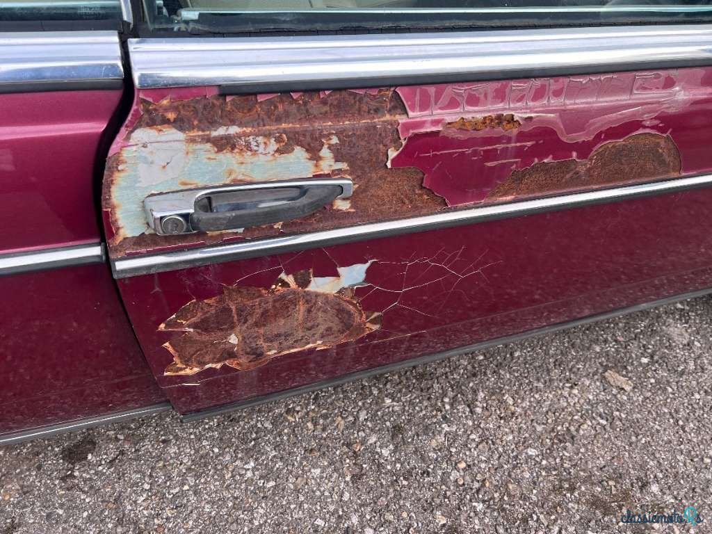 1977' Mercedes-Benz E-Klasse photo #5