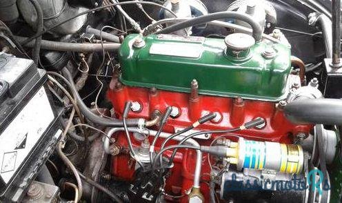 1956' MG Magnet photo #1