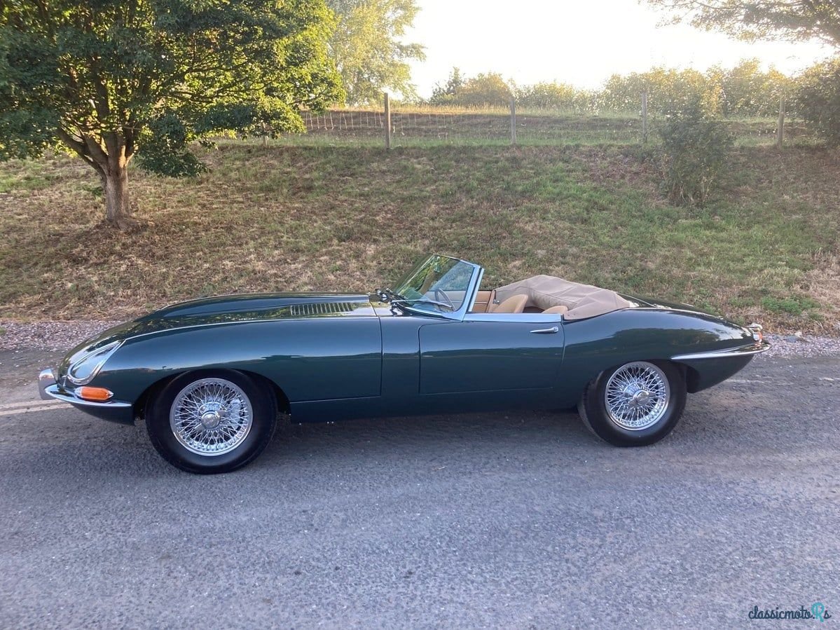 1962' Jaguar E-Type photo #1