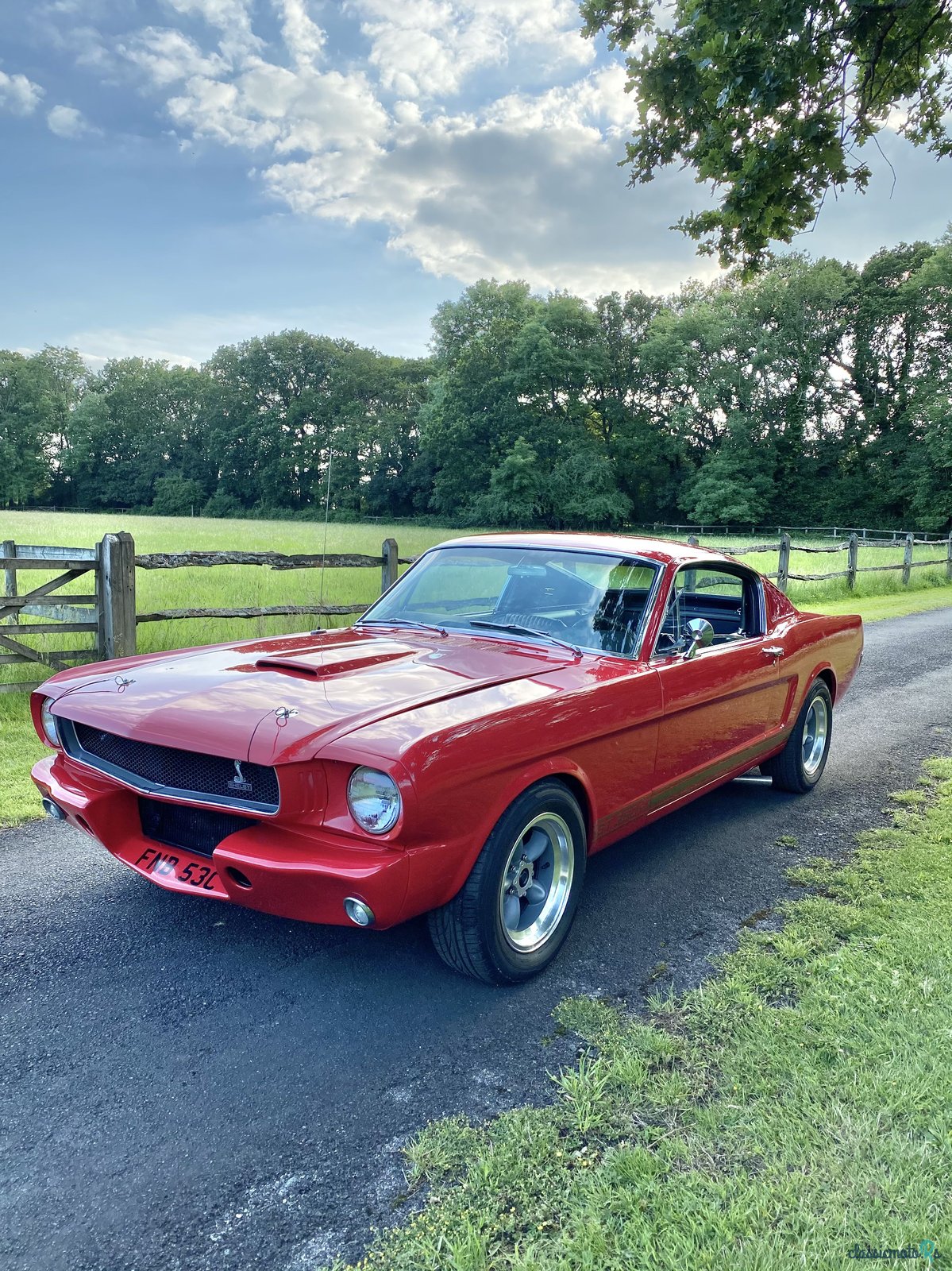 1965' Ford Mustang photo #3