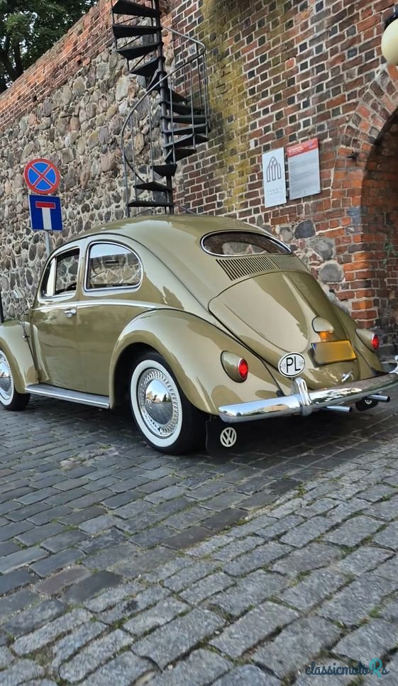 1956' Volkswagen Garbus photo #5