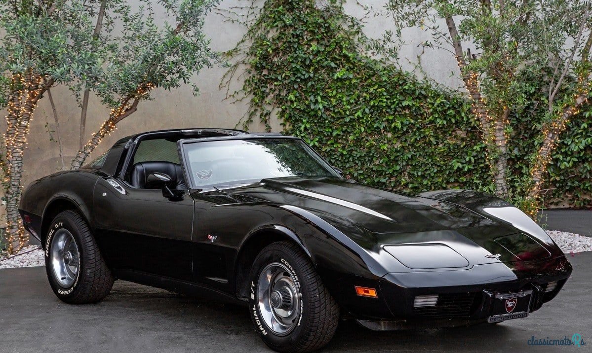 1979' Chevrolet Corvette photo #2