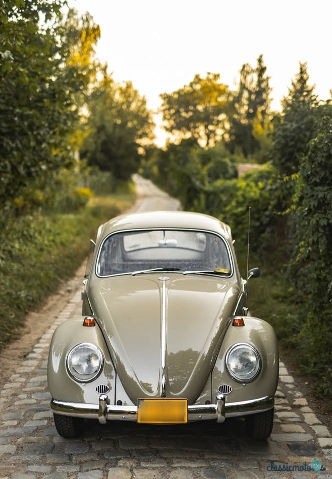 1966' Volkswagen Garbus photo #3