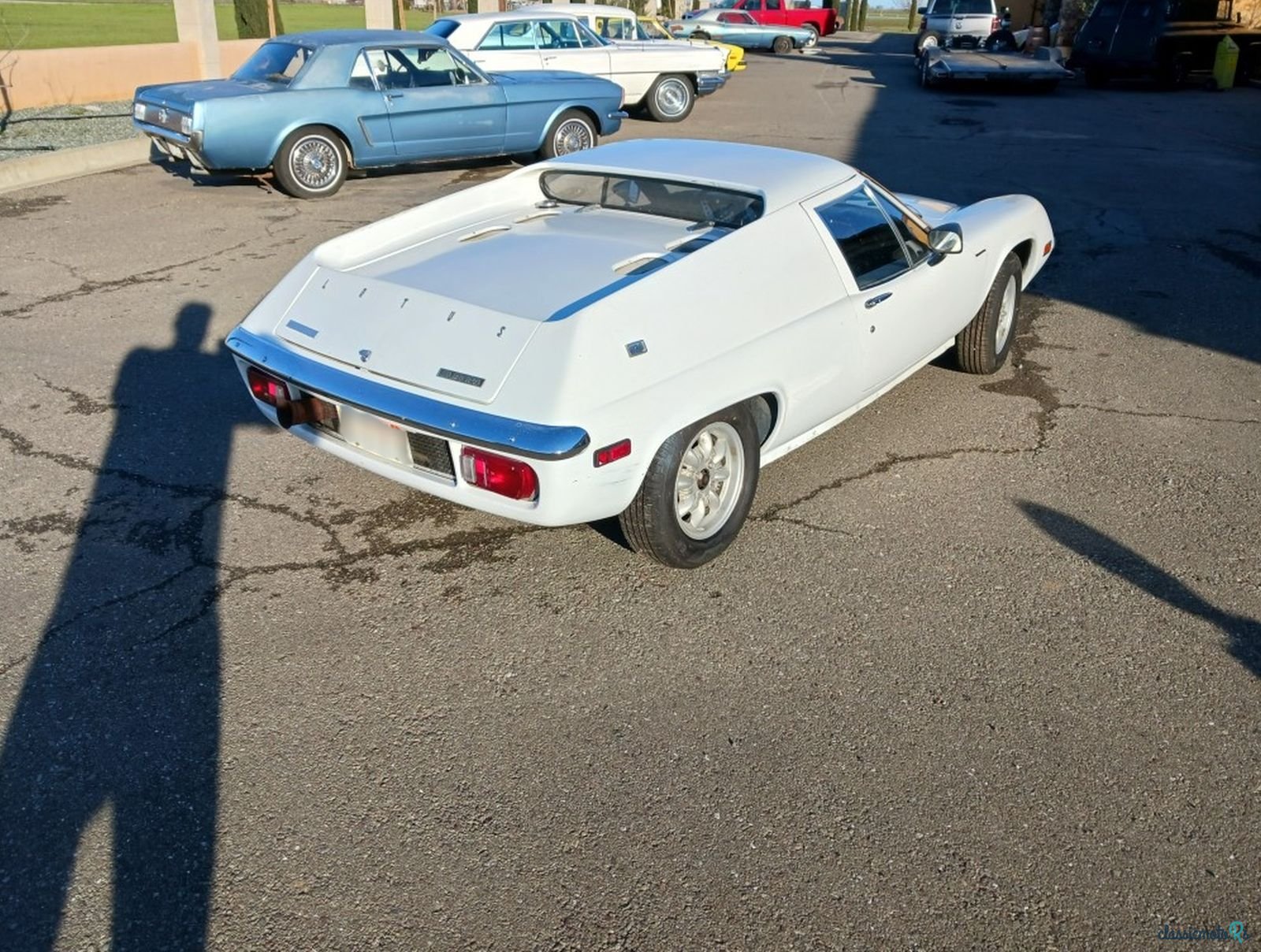 1971' Lotus Europa photo #3