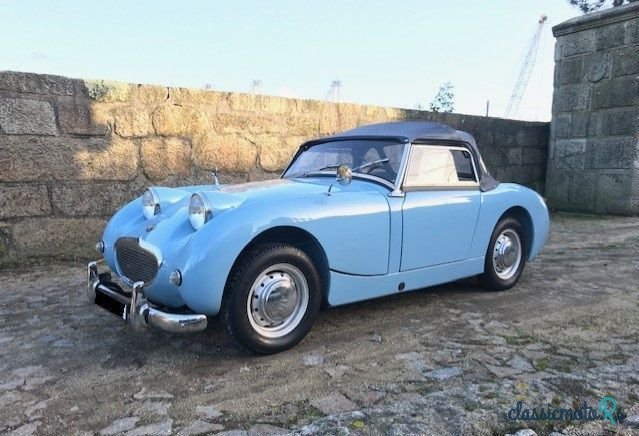 1959' Austin-Healey Sprite photo #1