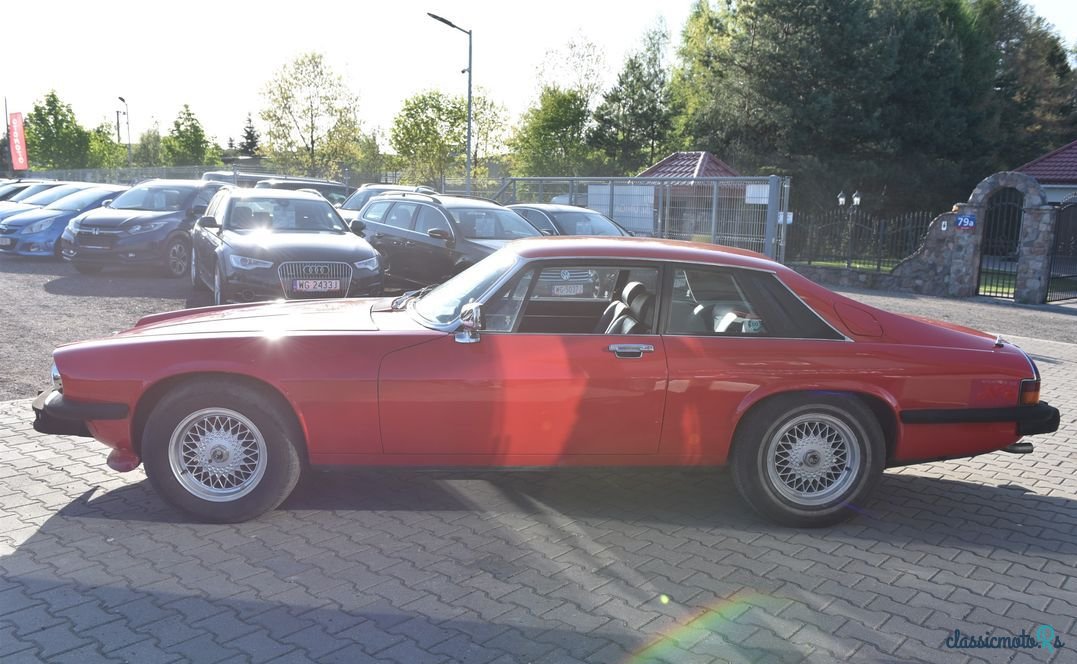 1979' Jaguar XJS photo #6