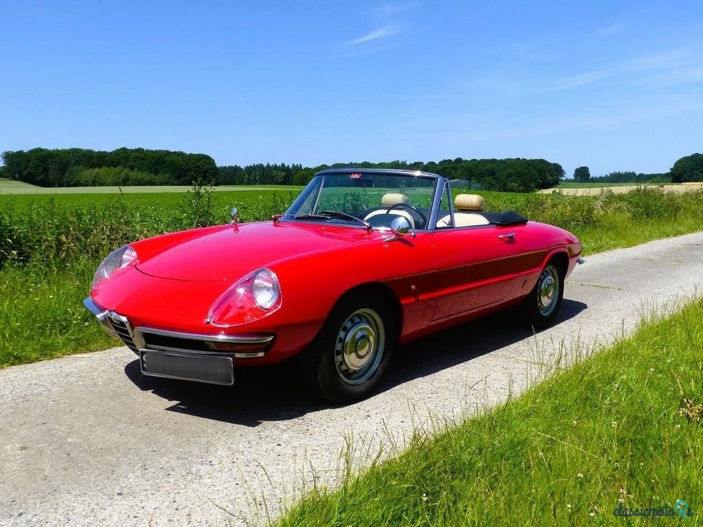 1966' Alfa Romeo Spider (Duetto) photo #1