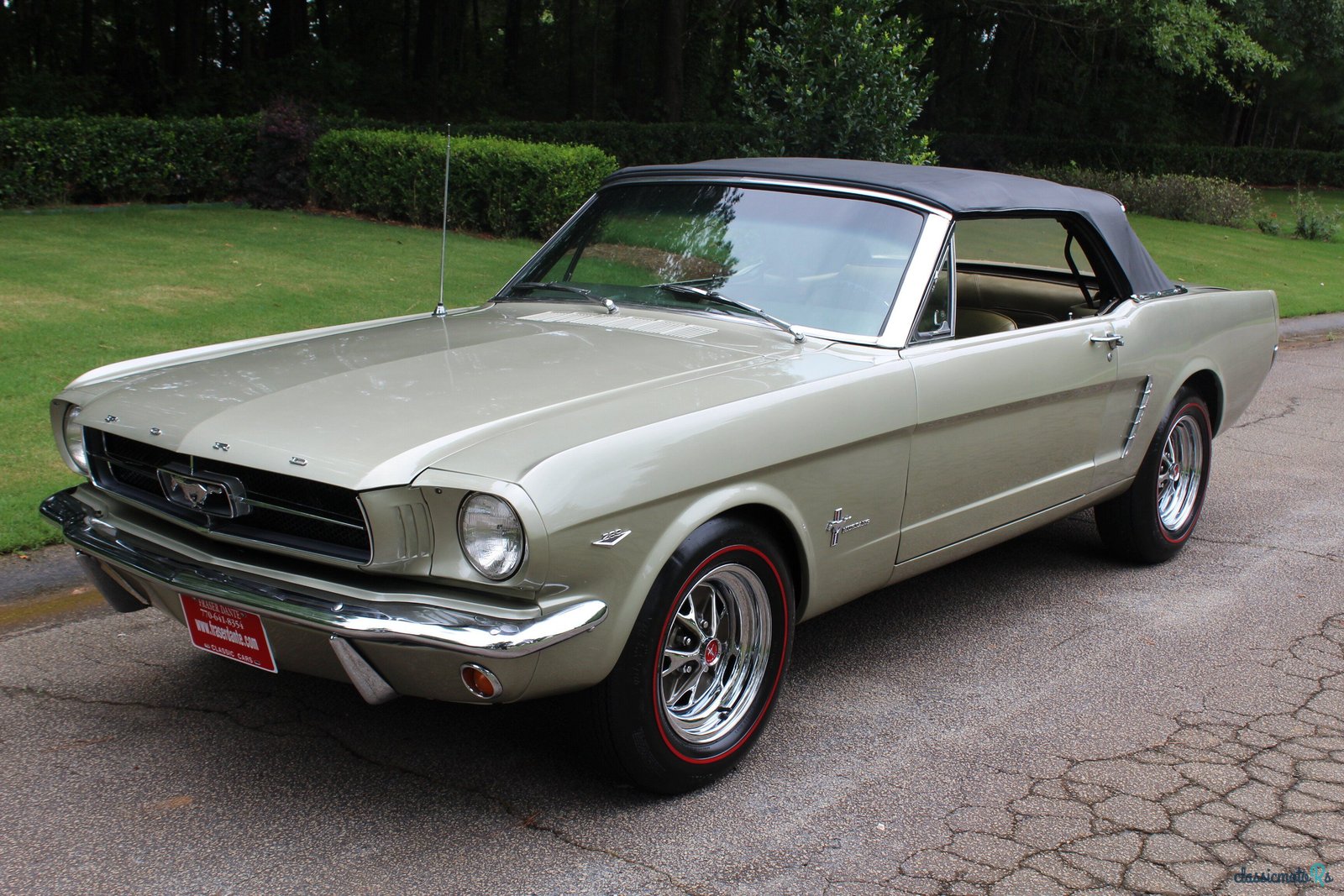 1965' Ford Mustang photo #1