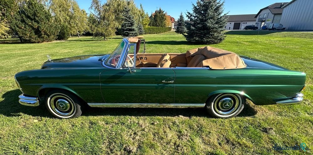 1965' Mercedes-Benz 220 SEB photo #2