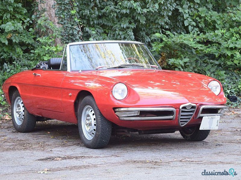 1966' Alfa Romeo Duetto photo #1