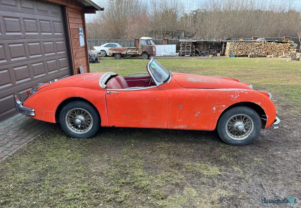 1959' Jaguar XK photo #6