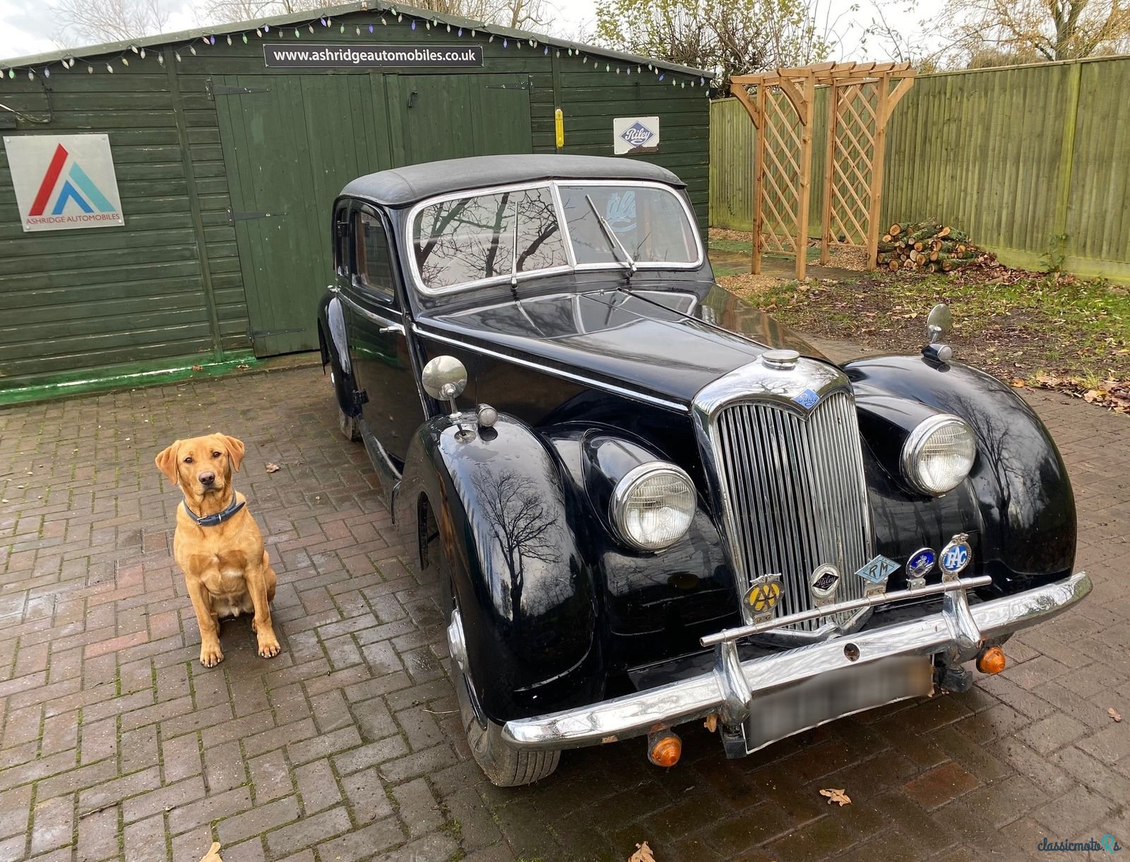 1952' Riley Rmb photo #2