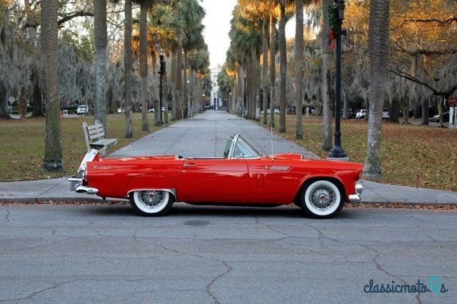 1956' Ford Thunderbird photo #2