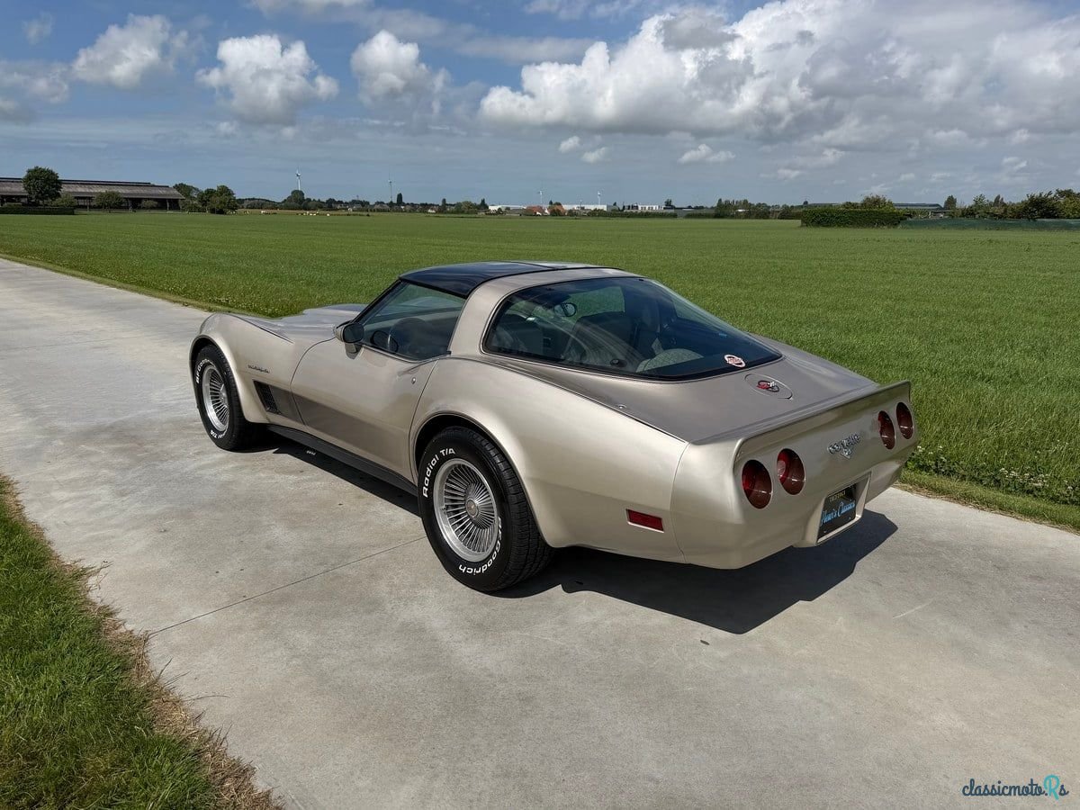 1982' Chevrolet Corvette photo #3