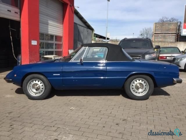 1981' Alfa Romeo Spider photo #2