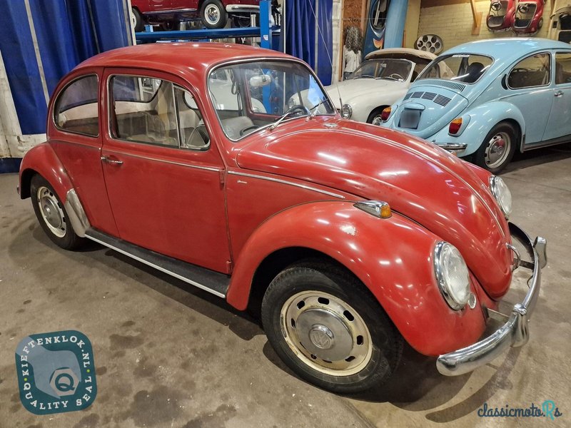 1966' Volkswagen Beetle photo #3