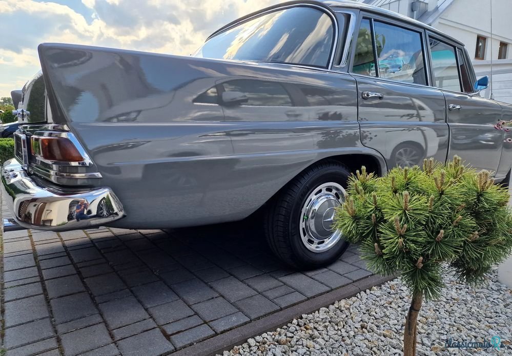 1968' Mercedes-Benz W110 Skrzydlak photo #6