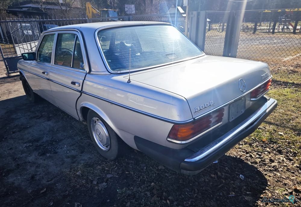 1979' Mercedes-Benz W123 photo #3