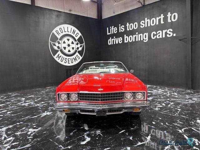 1973' Chevrolet Caprice photo #2