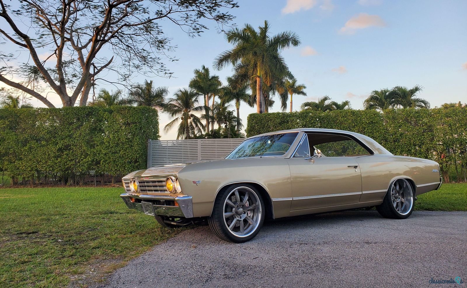 1967' Chevrolet Chevelle photo #1