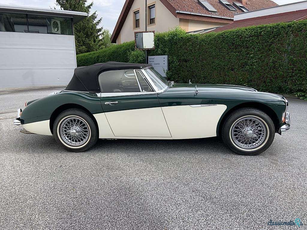 1966' Austin-Healey 3000 MK III photo #4