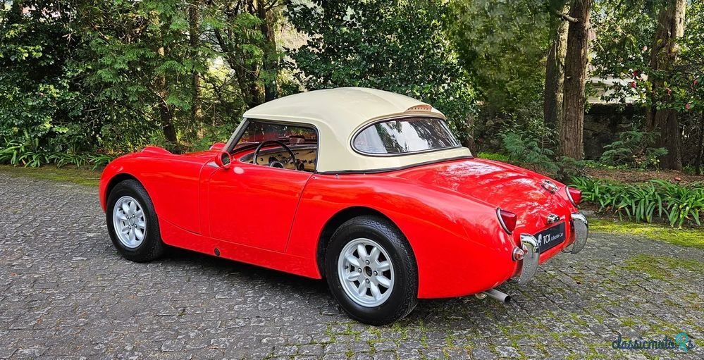 1961' Austin-Healey Sprite Mk I photo #3