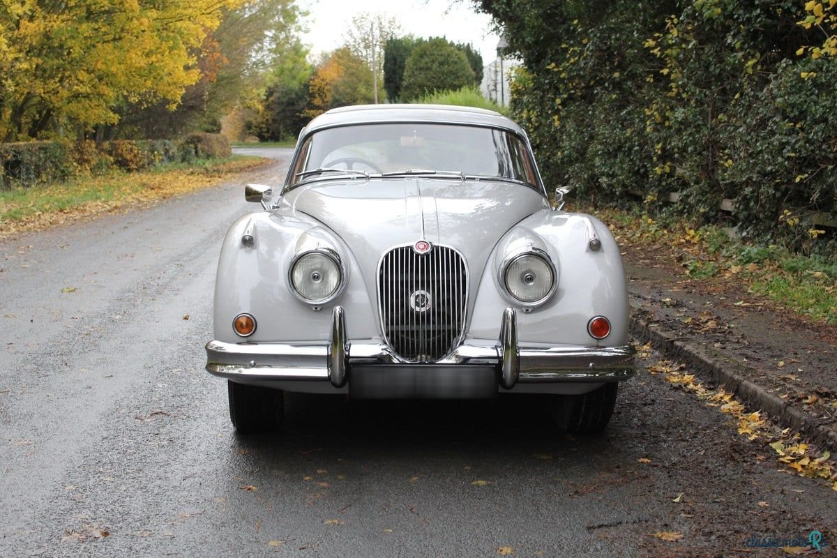 1961' Jaguar XK photo #2