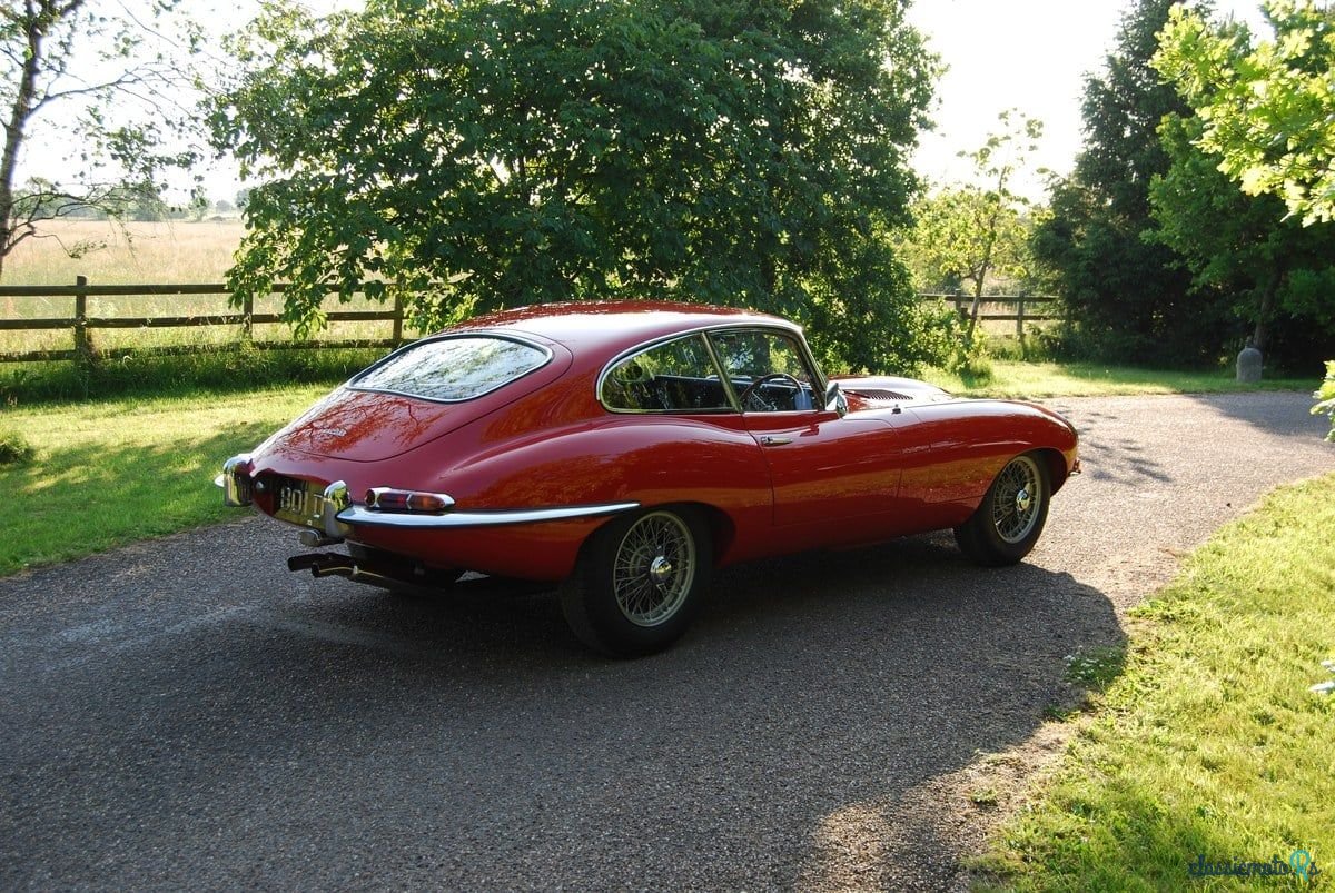1962' Jaguar E-Type photo #6