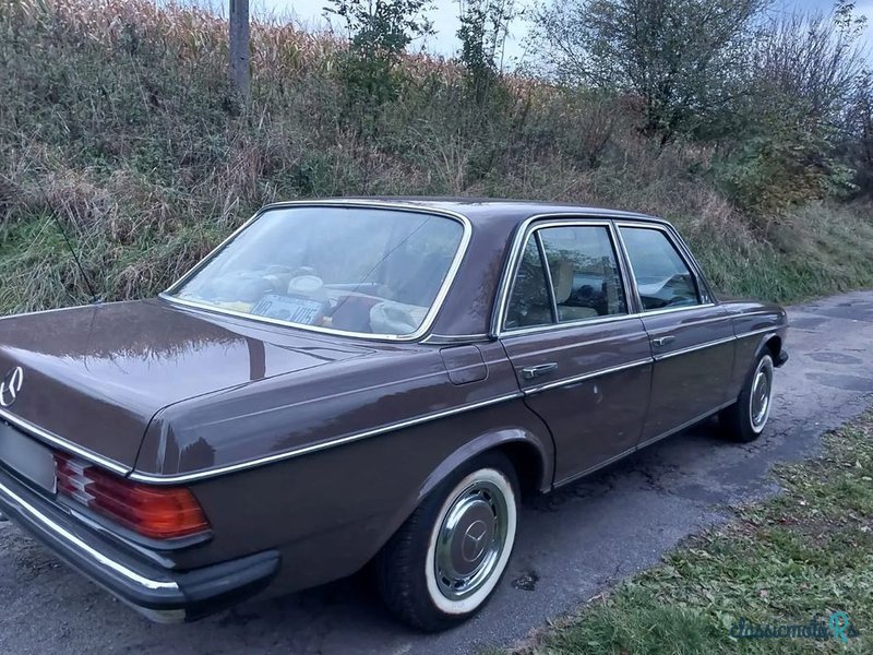 1979' Mercedes-Benz W123 photo #6