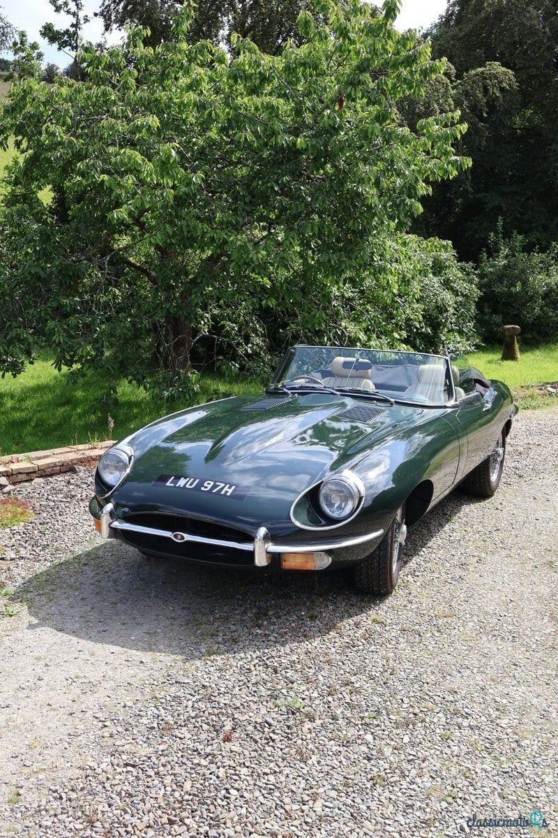 1968' Jaguar E-Type photo #2