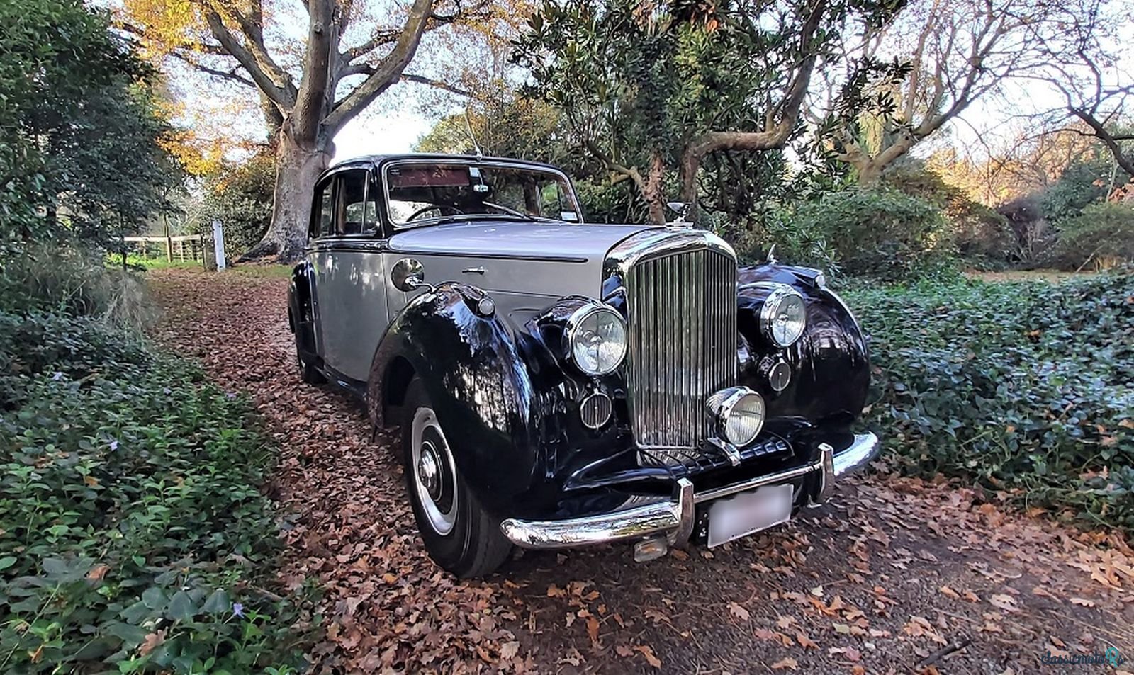 1952' Bentley Mk V1 photo #1