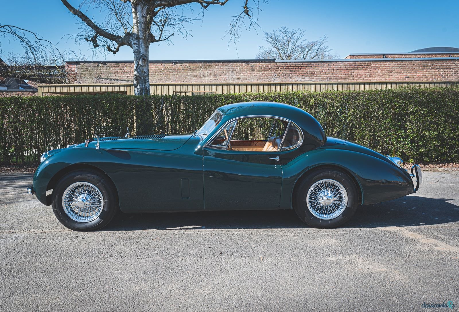 1954' Jaguar Xk120 Fhc photo #2