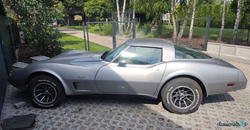 1978' Chevrolet Corvette photo #1