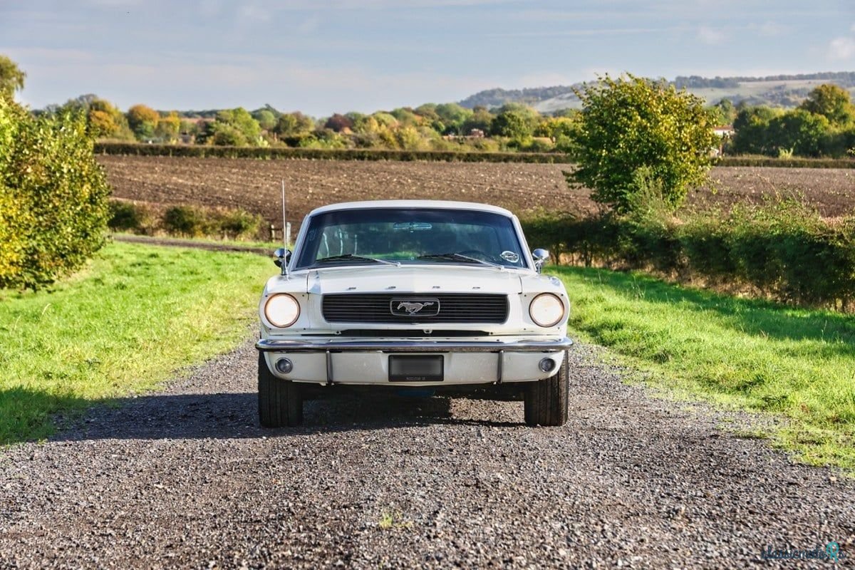 1966' Ford Mustang photo #4
