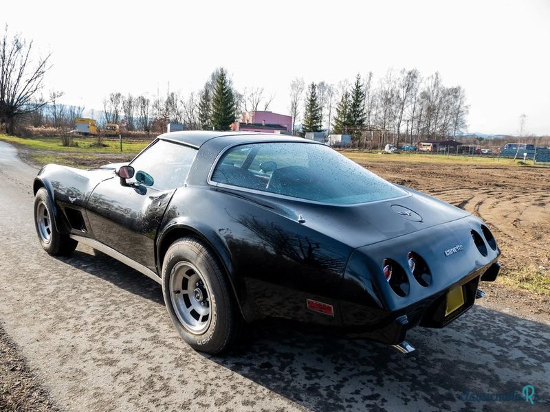 1979' Chevrolet Corvette photo #4