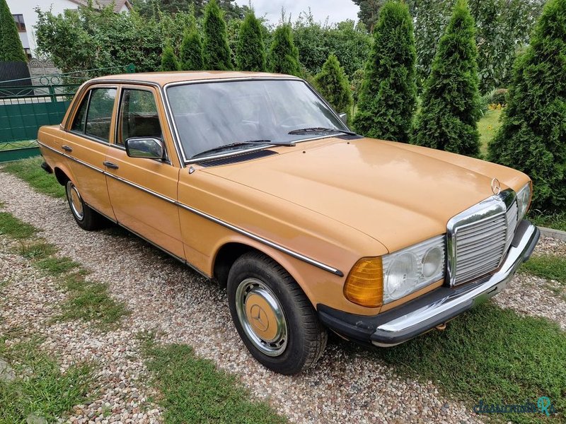 1977' Mercedes-Benz W123 photo #2